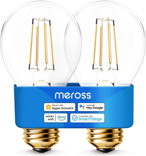 Ecost customer return WLAN Edison Vintage Light Bulb Works with Apple HomeKit, Meross Sma