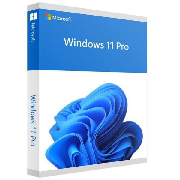 Software|MICROSOFT|Win Pro FPP 11 64-bit Eng Intl USB|Win Pro|Retail|HAV-00163