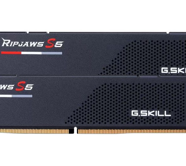 MEMORY DIMM 64GB DDR5-6000 K2/6000J3636F32GX2-RS5K G.SKILL