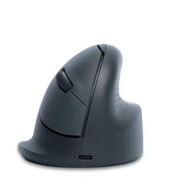 MOUSE USB OPTICAL WRL BASIC/R. GREY RGOHEBAMRWL R-GO TOOLS