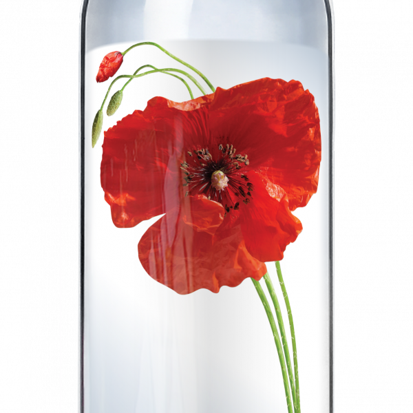 Minerālūdens AKVILE, viegli gāzēts, stiklā, 0,33l (DEP) (puķes)